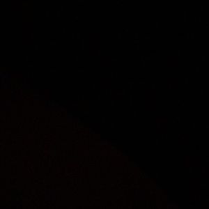 Meet your Posher, Owen